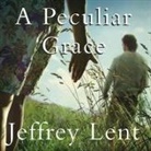 Jeffrey Lent, Todd Mclaren - A Peculiar Grace (Audiolibro)