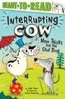 Jane Yolen, Joelle Dreidemy, Joëlle Dreidemy - New Tricks for the Old Dog