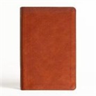 Holman Bible Publishers - NASB Large Print Personal Size Reference Bible, Burnt Sienna Leathertouch