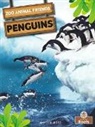 Amy Culliford - Penguins