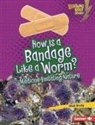 Walt Brody - How Is a Bandage Like a Worm?