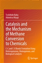 Toshihide Baba, Akimitsu Miyaji - Catalysis and the Mechanism of Methane Conversion to Chemicals