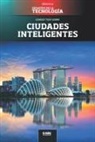 Abg Technologies - Ciudades inteligentes: Singapur, la primera smart nation
