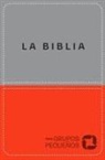 Lucas Leys, Alex Sampedro - Biblia Para Grupos Pequeños - Nbv Lujo