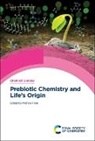 Michele Fiore - Prebiotic Chemistry and Life's Origin