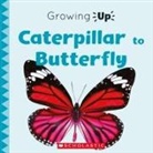 Stephanie Fitzgerald - Caterpillar to Butterfly (Growing Up)