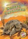 Patrick Perish - Desert Tortoises