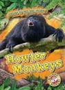 Karen Kenney - Howler Monkeys