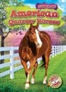 Rachel Grack - American Quarter Horses