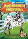Rachel Grack - Appaloosa Horses