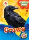 Joanne Mattern - Crows