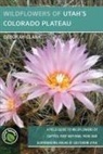 Deborah J. Clark, Thomas Clark - Wildflowers of Utah's Colorado Plateau: A Field Guide to Wildflowers of Capitol Reef National Park and Surrounding Areas of Southern Utah