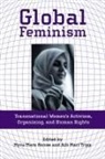 Myra Marx (EDT)/ Tripp Ferree, Myra Marx Ferree, Aili Mari Tripp - Global Feminism