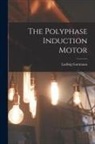 Ludwig Guttmann - The Polyphase Induction Motor