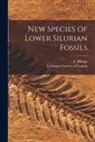 E. (Elkanah) Billings, Geological Survey of Canada - New Species of Lower Silurian Fossils [microform]