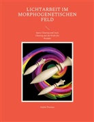 André Pasteur - Lichtarbeit im morphogenetischen Feld