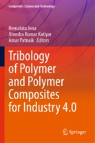 Hemalata Jena, Jitendra Kumar Katiyar, Jitendra Kumar Katiyar, Amar Patnaik - Tribology of Polymer and Polymer Composites for Industry 4.0