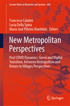 Francesco Calabrò, Lucia Della Spina, María José Piñeira Mantiñán, María José Piñeira Mantiñán - New Metropolitan Perspectives, 3 Teile