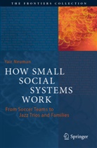 Yair Neuman - How Small Social Systems Work