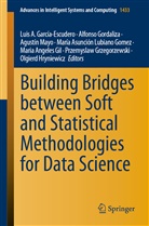 Luis A. García-Escudero, Maria Angeles Gil, Alfonso Gordaliza, Przemyslaw Grzegorzewski, Olgierd Hryniewicz, María Asunción Lubiano Gomez... - Building Bridges between Soft and Statistical Methodologies for Data Science