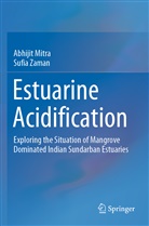 Abhijit Mitra, University of Calcutta, Sufia Zaman - Estuarine Acidification