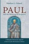 Matthew L. Halsted - Paul and the Meaning of Scripture