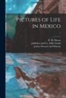 R. H. (Reginald Herbert) Mason, Elder And Co Smith, Printer Stewart and Murray - Pictures of Life in Mexico; 1
