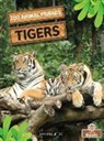 Amy Culliford - Tigers