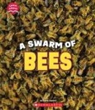 Claire Caprioli - A Swarm of Bees (Learn About: Animals)