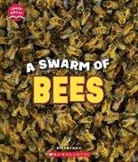 Claire Caprioli - A Swarm of Bees (Learn About: Animals)