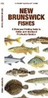 Matthew Morris, Waterford Press, Waterford Press Waterford Press, Raymond Leung, Leung Raymond Leung Raymond - New Brunswick Fishes
