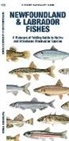Matthew Morris, Waterford Press, Waterford Press Waterford Press, Raymond Leung, Leung Raymond Leung Raymond - Newfoundland & Labrador Fishes