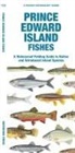 Matthew Morris, Matthew Morris Matthew Morris, Waterford Press, Raymond Leung, Raymond Leung Raymond Leung - Prince Edward Island Fishes
