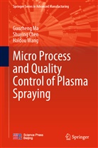 Shuying Chen, Guozheng Ma, Haidou Wang - Micro Process and Quality Control of Plasma Spraying