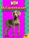 Heather Kissock - Weimaraners