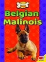 Katie Gillespie - Belgian Malinois