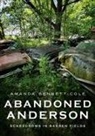 Amanda Bennett-Cole - Abandoned Anderson, Indiana: Scarecrows in Barren Fields