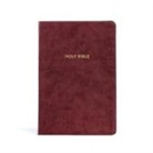 Holman Bible Publishers, Holman Bible Staff - KJV Rainbow Study Bible, Burgundy Leathertouch
