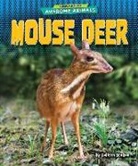 Colleen Sexton - Mouse Deer