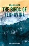 Adam Bodor - Birds of Verhovina