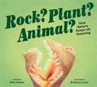 Etta Kaner, Brittany Lane - Rock? Plant? Animal?