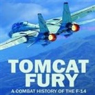 Mike Guardia, Johnny Heller - Tomcat Fury: A Combat History of the F-14 (Audio book)