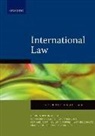 Christopher Gevers, Christopher Ruppel Gevers, Laurence Juma, Gerhard Kemp, Oliver Ruppel, Werner Scholtz... - International Law