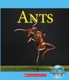 Josh Gregory - Ants (Nature's Children)