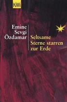 Emine Sevgi Özdamar - Seltsame Sterne starren zur Erde