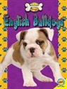 Susan H Gray, Susan H. Gray - English Bulldogs