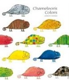 Chisato Tashiro - Chameleon's Colors