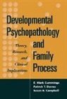 Susan B. Campbell, E. Mark Cummings, Patrick T. Davies - Developmental Psychopathology and Family Process
