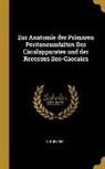 A. Forster - Zur Anatomie Der Primären Peritoneumfalten Des Cäcalapparates Und Der Recessus Ileo-Caecales