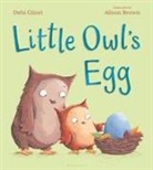 Debi Gliori, Alison Brown - Little Owl's Egg